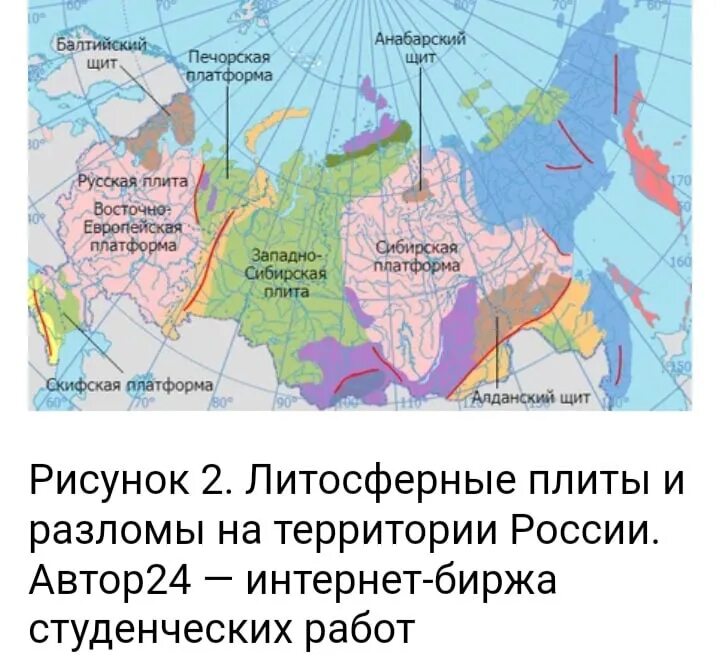 Плиты литосферы России. Карта литосверных плитроссии. Карта литосферных плит России. Тектонические плиты России. На щитах древних платформ формируются