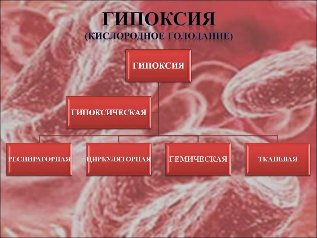 Голод клеток. Гипоксия. Гипоксическая гипоксия. Безкислороднте голодание. Хроническая тканевая гипоксия.