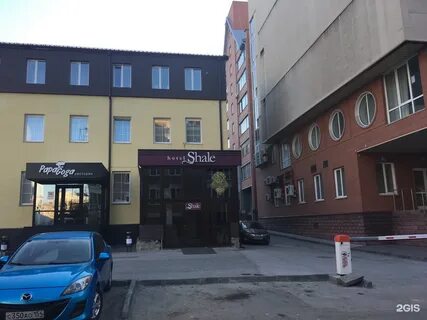 Новосибирск шаля