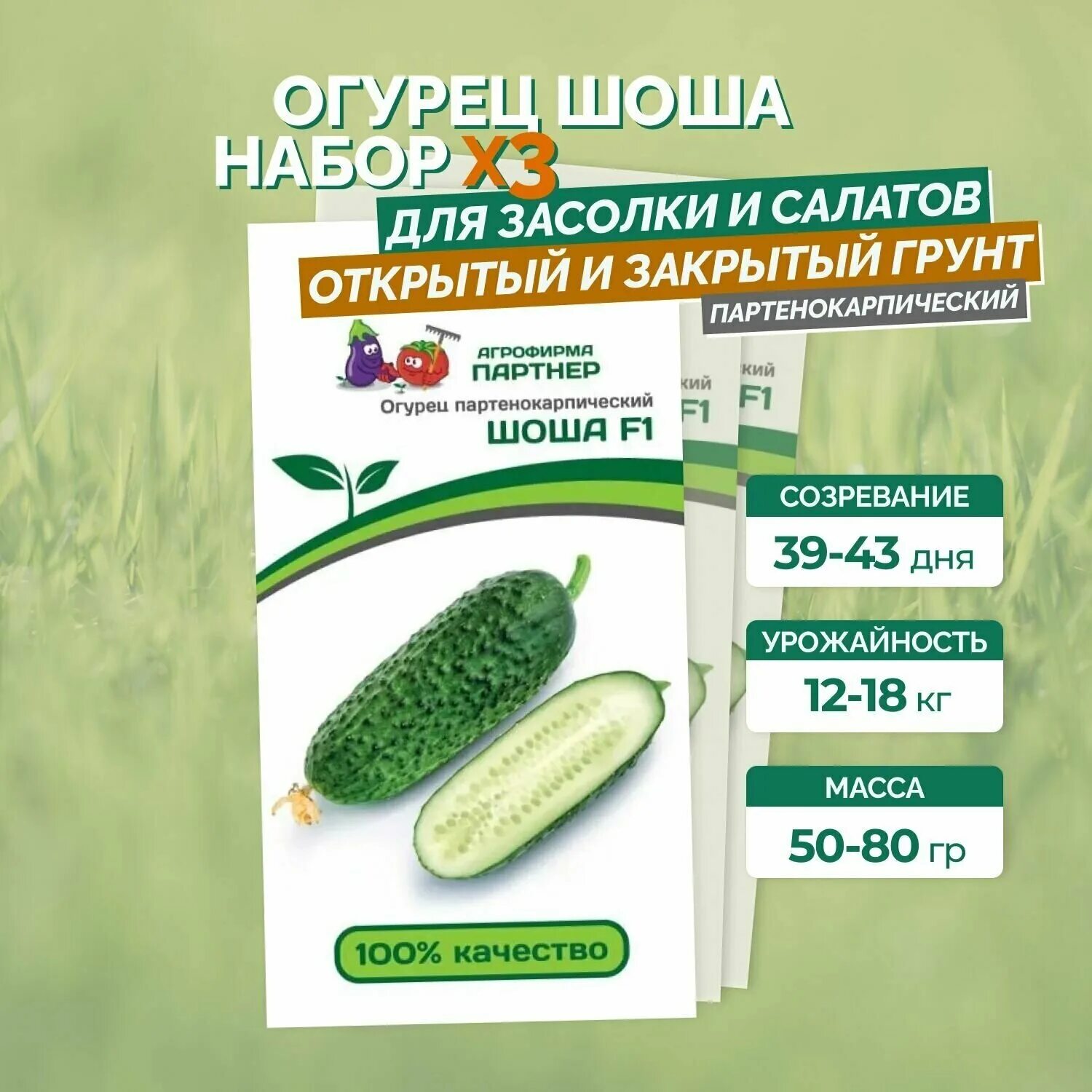 сорт огурцов шоша отзывы. сорт огурцов шоша отзывы. огурец шоша f1. семена огурец "шоша", f1, 5 шт. огурец шоша 5шт ц партнер.