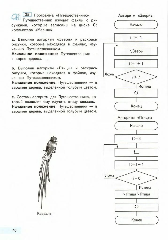 Следуя алгоритму распределите страны