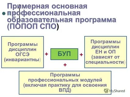 Утверждение образовательных программ спо