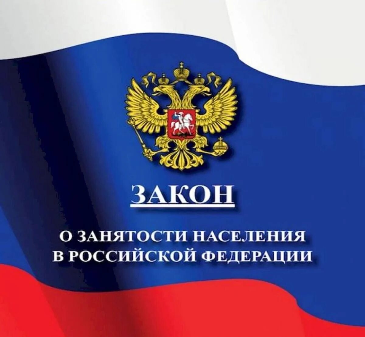 Закон рф картинка. Закон о занятости. Закон о занятости населения в РФ. Закон о занятости населения 1991. Федеральный закон.