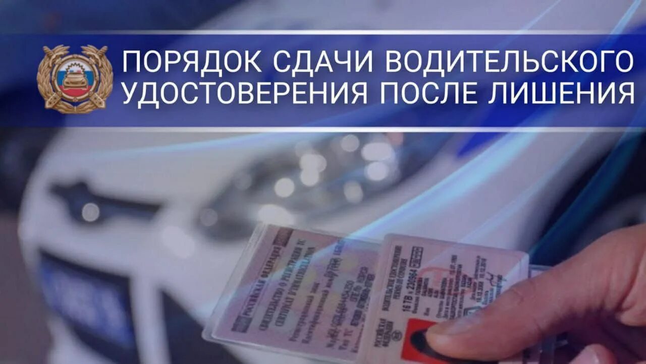Эстетика водительских прав. Порядок сдачи ву после лишения. Право на управление транспортным средством. За что могут лишить водительских прав. Лишение прав на год.