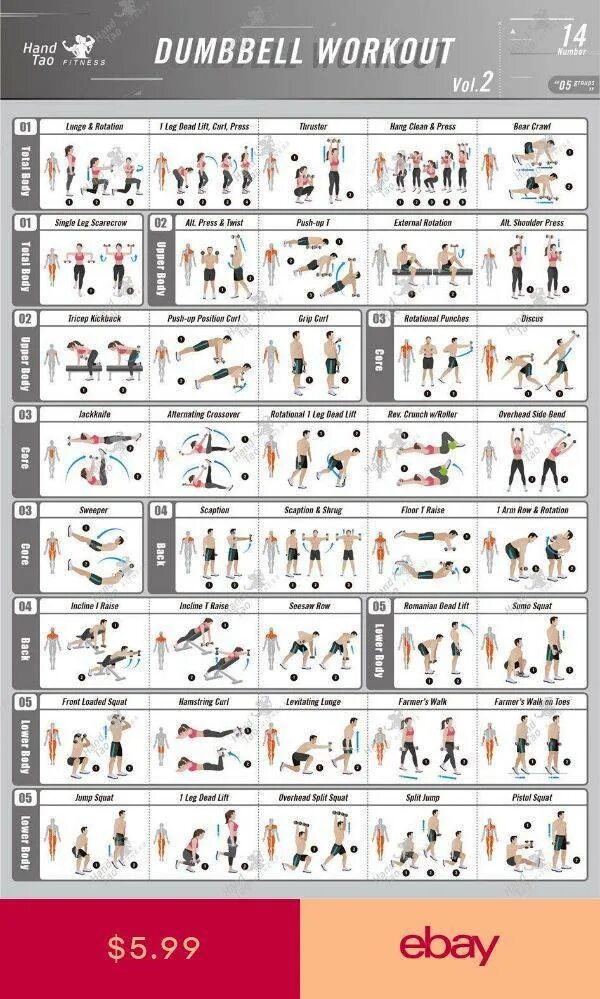 Программа тренировок дома для мужчин с гантелями. План тренировок с гантелями для мужчин. Упражнения с гантелями дома для мужчин программа. Программа тренировок дома для мужчин с гантелями. Программа тренировок гантелями для новичка.