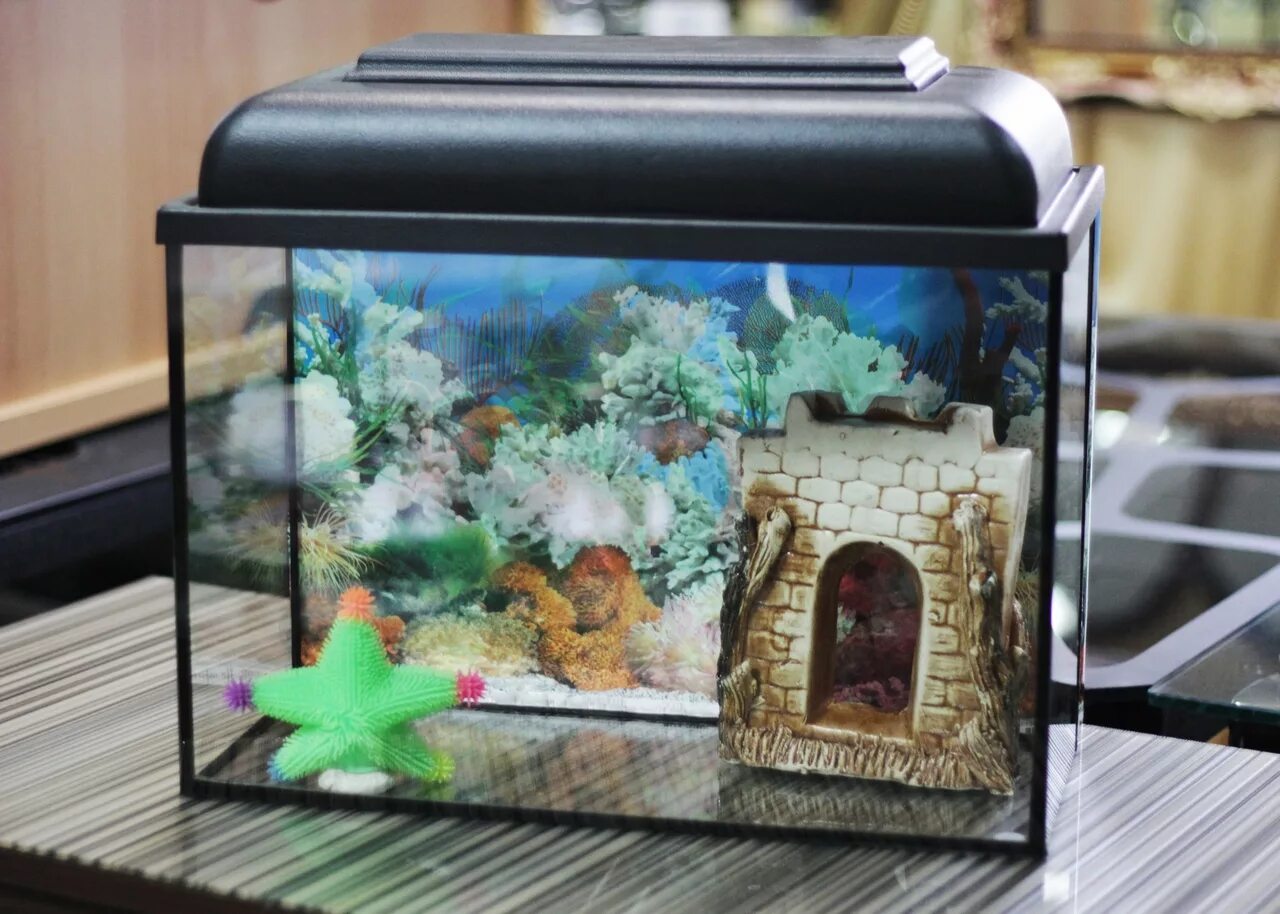 вода налита в аквариум прямоугольной формы. люмен на литр аквариум. вода налита в аквариум прямоугольной формы. давление воды на стенку аквариума. вода налита в аквариум прямоугольной формы.