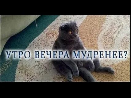 Утро вечера мудренее это