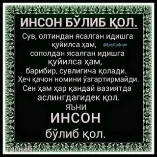 Дуст булиб коламизми