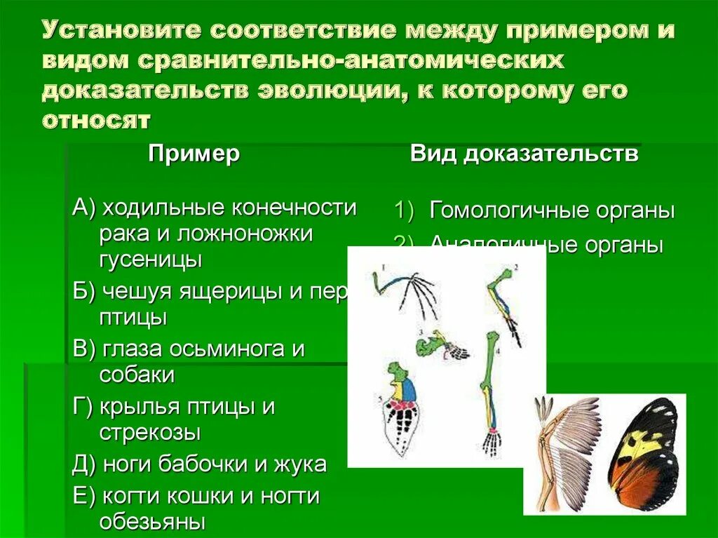 Картинки УСТАНОВИТЕ СООТВЕТСТВИЕ МЕЖДУ ПЕРВЫМ И ВТОРЫМ СТОЛБЦОМ