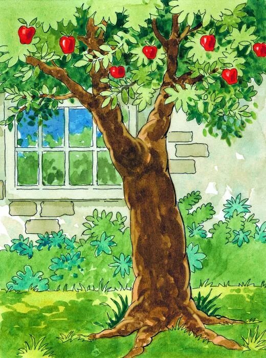 Фруктовый сад в детском саду. Яблоня в саду. Плодовые деревья для сада. Плодовые деревья для дошкольников. Фруктовые деревья для детей.
