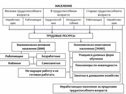 Функция подготовки трудовых ресурсов для общества