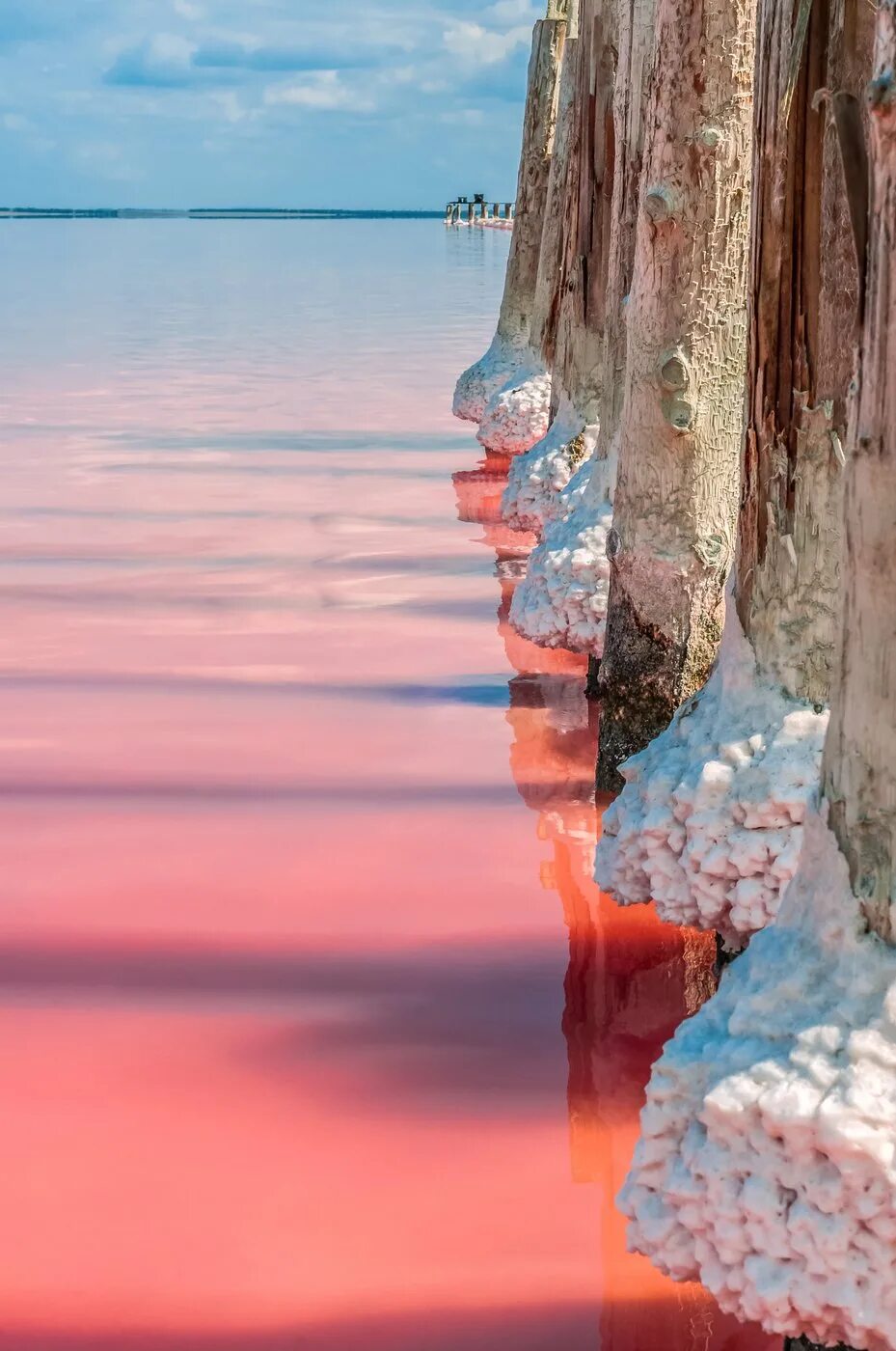 Сасык-Сиваш. Сасык Сиваш озеро. Розовое озеро САСИКСИВАШ. Кояшское озеро Евпатория. Розовый водоем в крыму