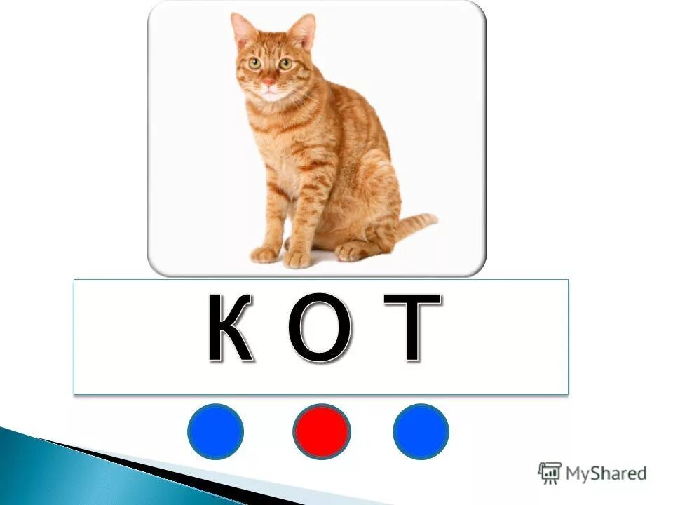 Составить схему слова кот. Звуковая схема кот. Кот звуковая схема. Звуковая схема кот. Звуки в слове кот.