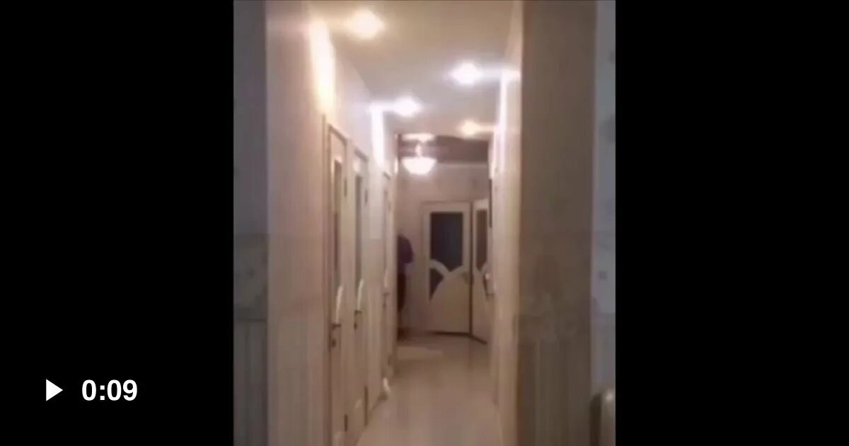 Котенок киселечек. Кот киселечек видео. Киселёчек. Киселек кот. Кот киселечек.