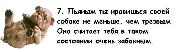 Анекдот про жену и собаку в гараже. Если закрыть в гараже жену и собаку. Закройте жену и собаку. Если жену и собаку закрыть в гараже на 5 часов.