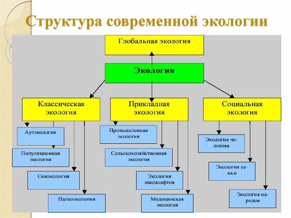 Виды связей в экологии