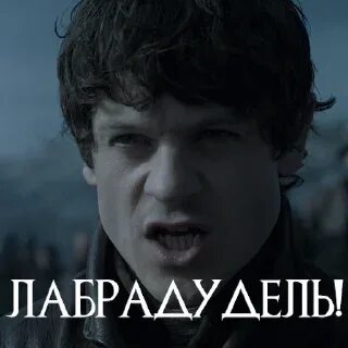 Телеграмм рамзай телеграм