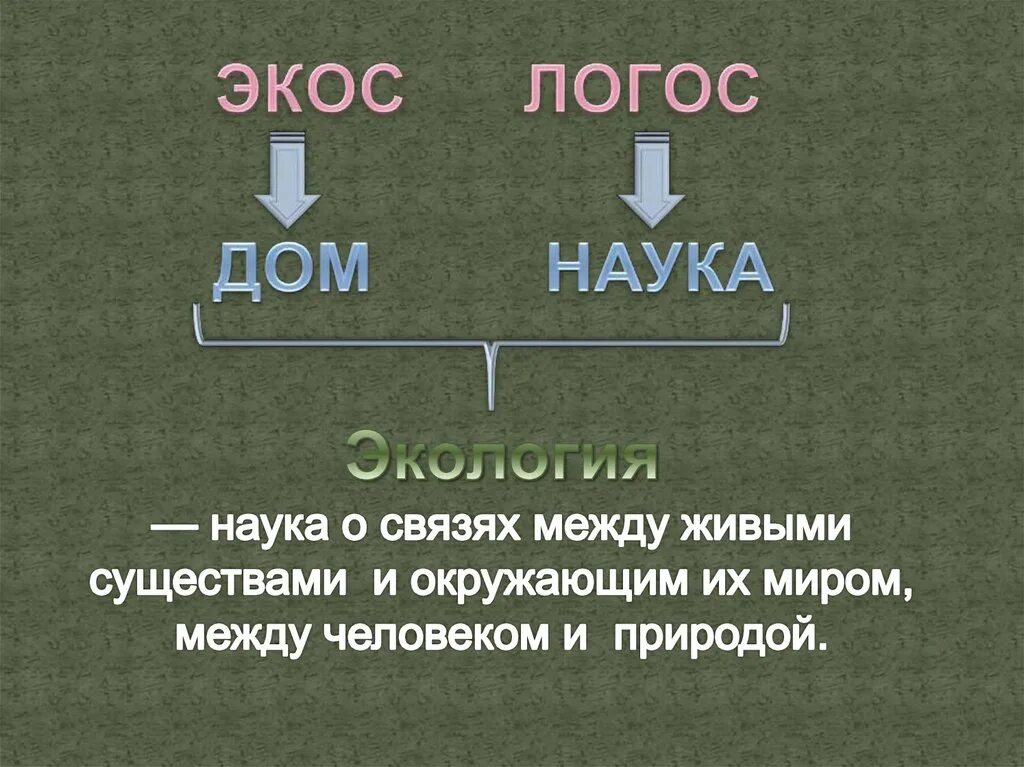 Экос дом Логос наука. Закон природы (Логос). Экос и Логос что означает. Логос земли.