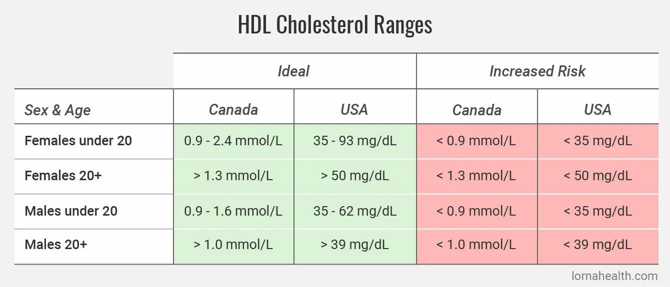 Холестерол HDL. HDL cholesterol норма. Холестерин HDL MG/DL. Холестерол, mmol/l.