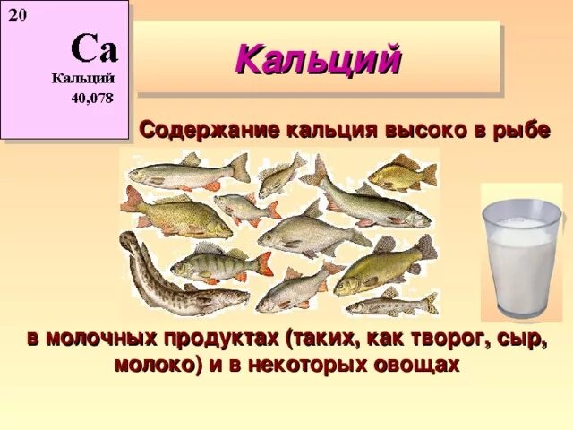 Кальций в какой рыбе