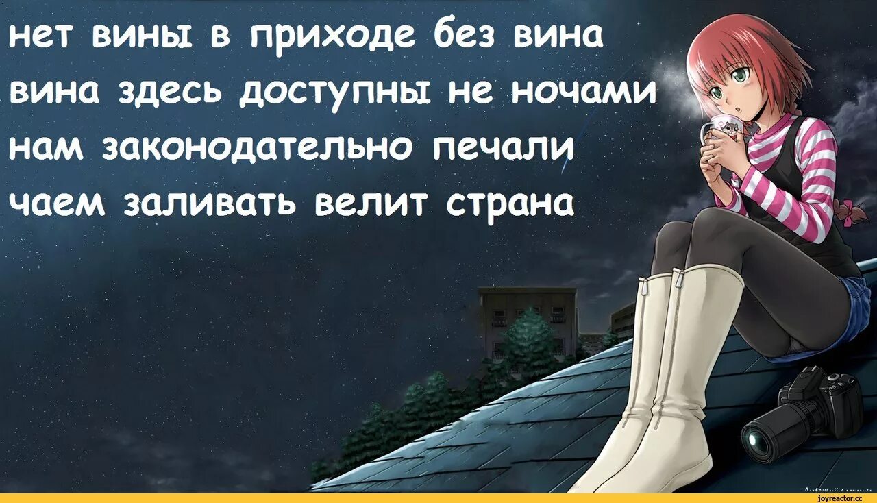 Я люблю в том нет вины