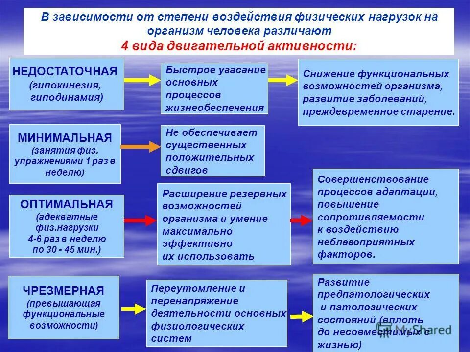 Оптимизация физического состояния. Физическая нагрузка на организм. Классификация видов физической активности. Типы физических нагрузок. Функциональные изменения в организме при физических нагрузках.