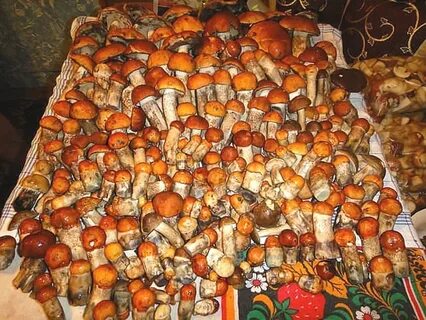 Много белых