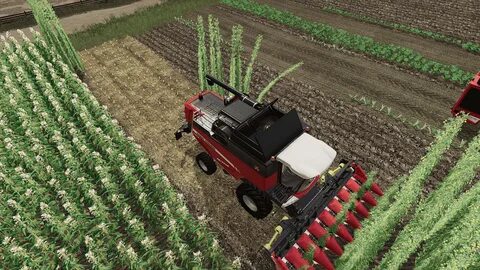 Как убрать сорняки в farming