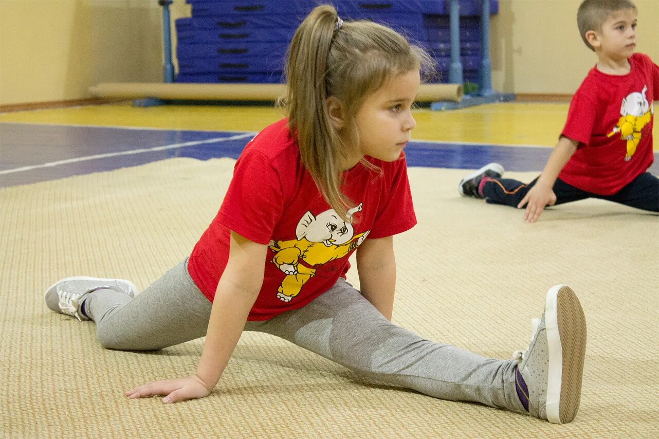 Подготовка к школе. 8 лет подготовки. Ребенок 5 лет. Дети дошкольного и школьного возраста. Дети в школе.