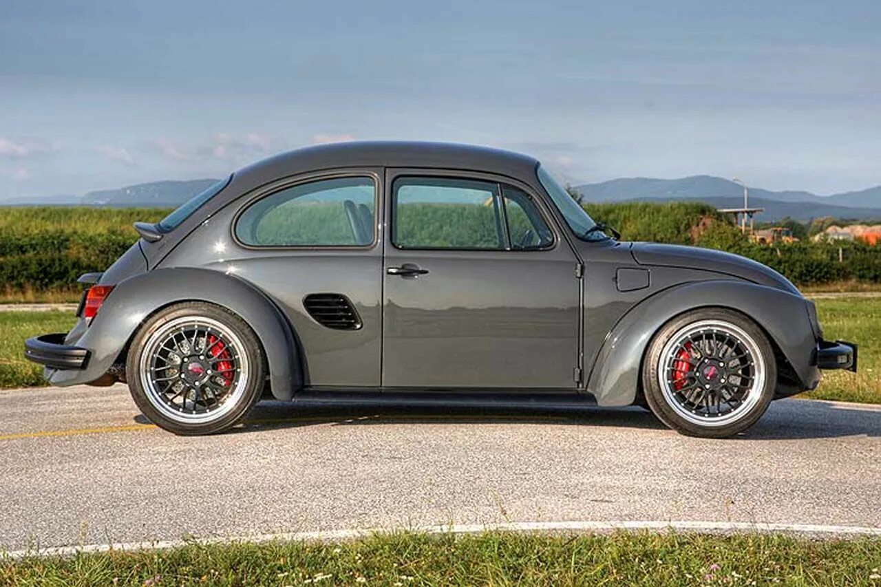 34 bug