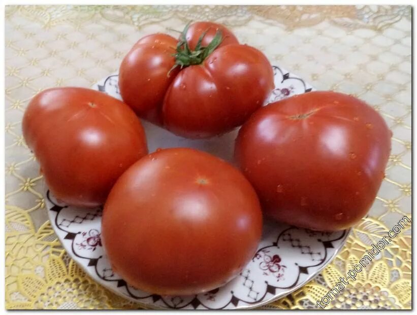 томаты с тонкой кожицей