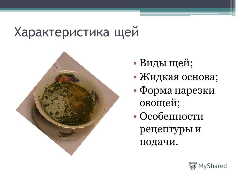 Характеристика щей. Особенности подачи щей. Жидкая основа щей. Щи их характеристика.