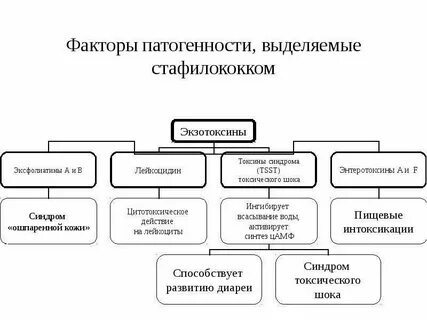 Патогенные факторы вирусов