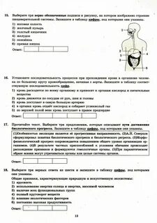Рохлов варианты 2023 ответы