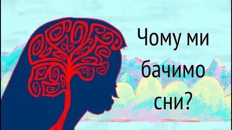 We dream in the evening
