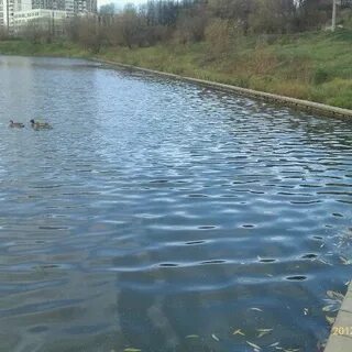 Беговая дорохово