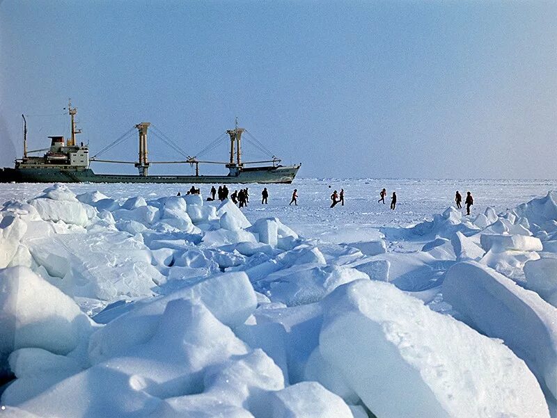 Арктическая зона республики коми. Арктической зоной коми. Тундра заполярье. Арктическая зона республики коми. Гектар в арктике.