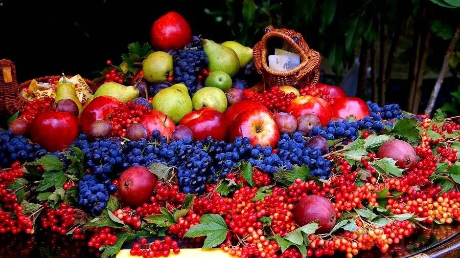Лето время фруктов. Урожай фруктов и ягод. Осенние фрукты и ягоды. Августовские фрукты. Летние дары природы.