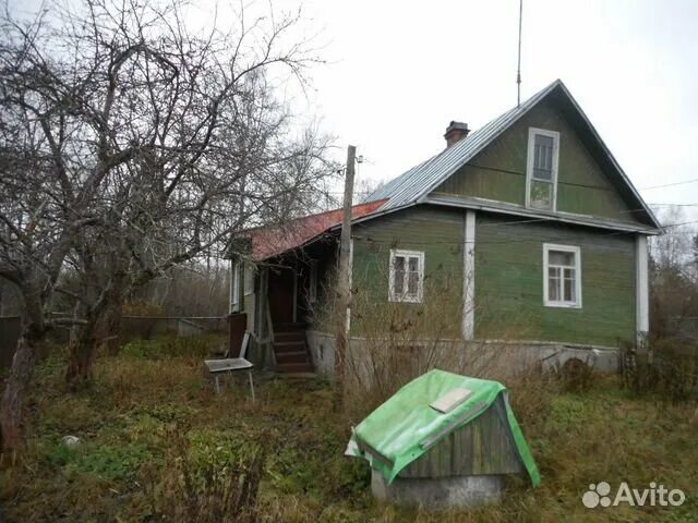 Погода в борисовой гриве ленинградской области