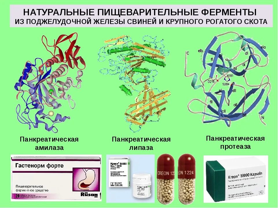 Поджелудочной железой вырабатываются ферменты. Препараты замещающие ферменты поджелудочной железы. Ферментные препараты для поджелудочной железы. Препараты для поджелудочной пищеварительные ферментов. Ферментативные препараты для поджелудочной железы.