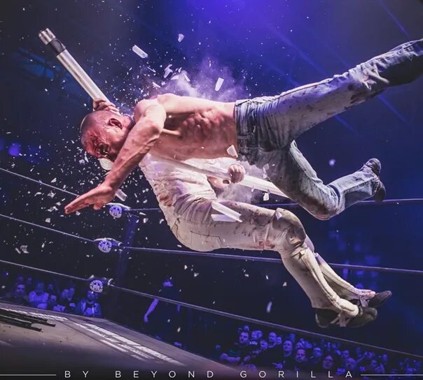 Участник спортивного мордобоя 6 букв. By Beyond Gorilla.