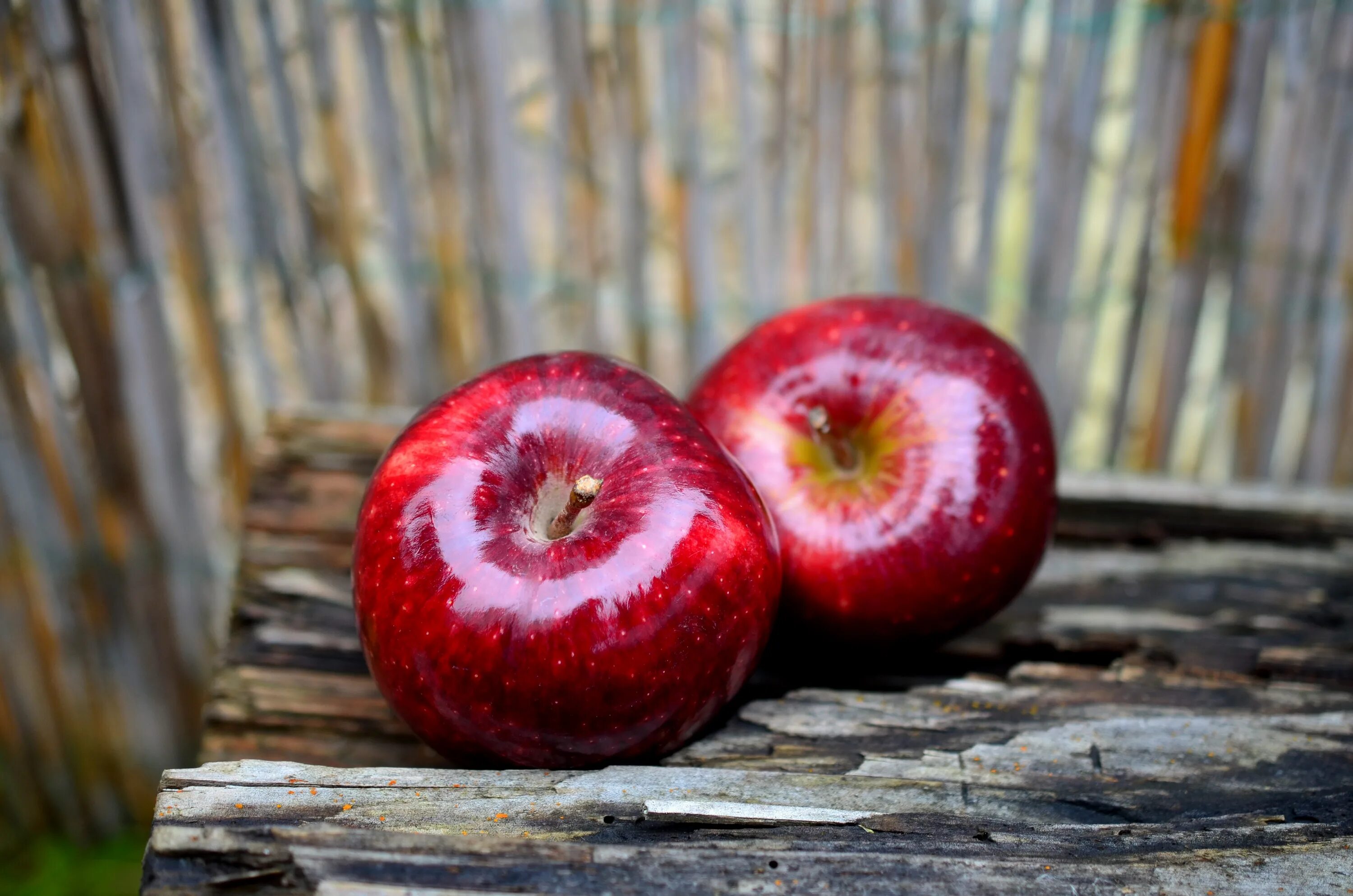 К чему снятся красивые яблоки. Ред Делишес. Яблоня ред Делишес. Яблоки красные. Красивое красное яблоко.