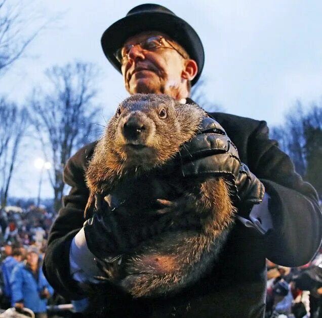 Groundhog day праздник. Groundhog day праздник. Groundhog day is. Punxsutawney phil. Groundhog day праздник.