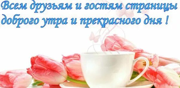 Картинка доброе чат. Доброе утро наши дорогие покупатели. с добрым утром участники группы. с добрым утром дорогие участники группы. доброе утро покупатели.