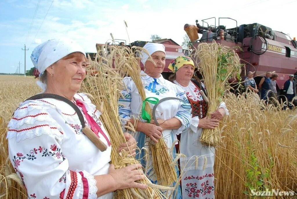 День сельского хозяйства в беларуси. Труженики сельского хозяйства. Работники сельского хозяйства. Труженики села. Работница сельского хозяйства.