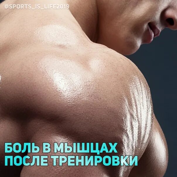Что значит если после тренировки болят мышцы. Боль в мышцах после тренировки. болят мышцы после тренировки. болят мышцы- растут?. боль в грудных мышцах после тренировки.