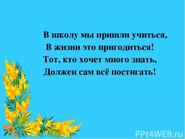 Тот кто хочет много знать должен сам все постигать. В школу мы пришли учиться. В школу мы пришли учиться в жизни это пригодится. Презентация тот кто хочет много знать.