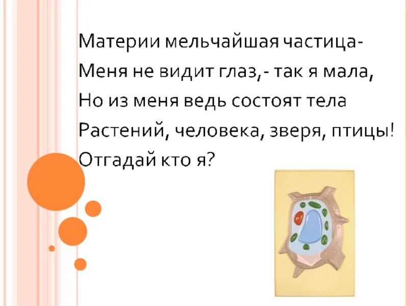 Загадка про клетку. Загадки про клетку по биологии. Загадка о клетке по Биол. Стих про клетку. 5 загадок по биологии