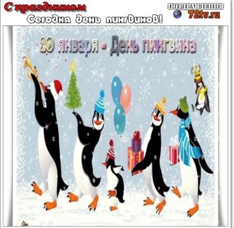 Какой сегодня праздник 20 апреля. 20 Января день. 20 Января какой праздник. День пингвина 20 января открытки. Открытка с днем пингвина.