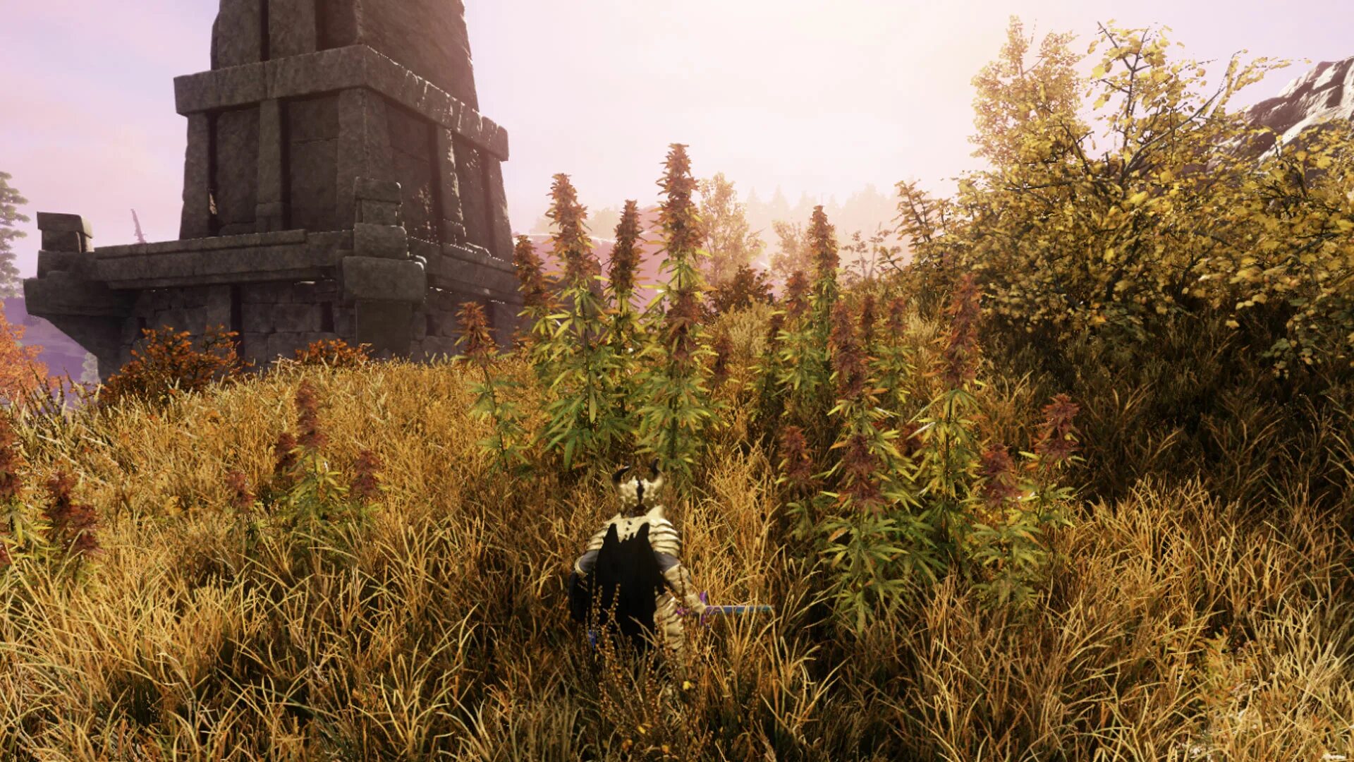 New world harvesting. New world мморпг. Project new world lvl guide. New world harvesting. Lazarus new world.